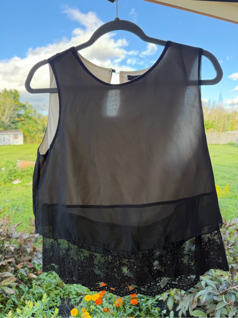 Delicate Black Lace-Trim Sheer Camisole